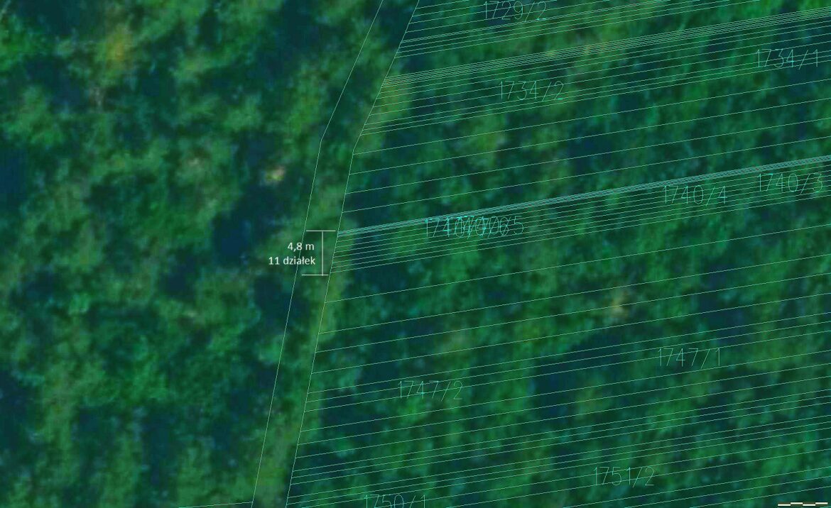 Szachownica w lessie czepielińskim AD 2023